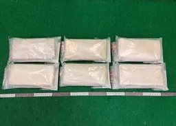 巴西抵港內地男攜可卡因　兩馬國旅客飲料包裝藏冰毒　共值1100萬